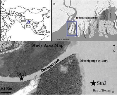 Analysis of Marine Planktonic Cyanobacterial Assemblages From Mooriganga Estuary, Indian Sundarbans Using Molecular Approaches